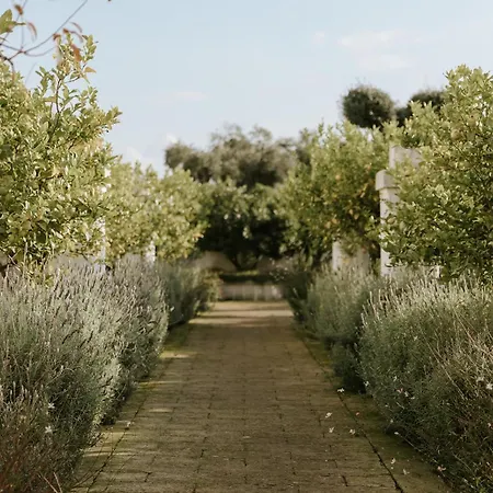 Masseria Mammella-2